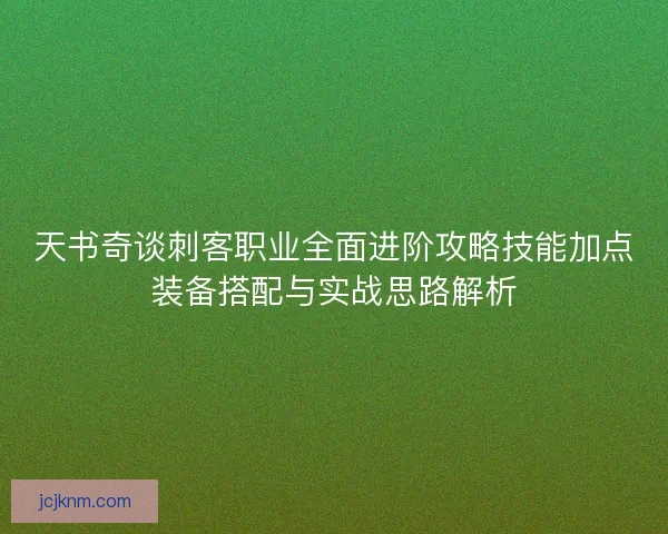 天书奇谈刺客职业全面进阶攻略技能加点装备搭配与实战思路解析